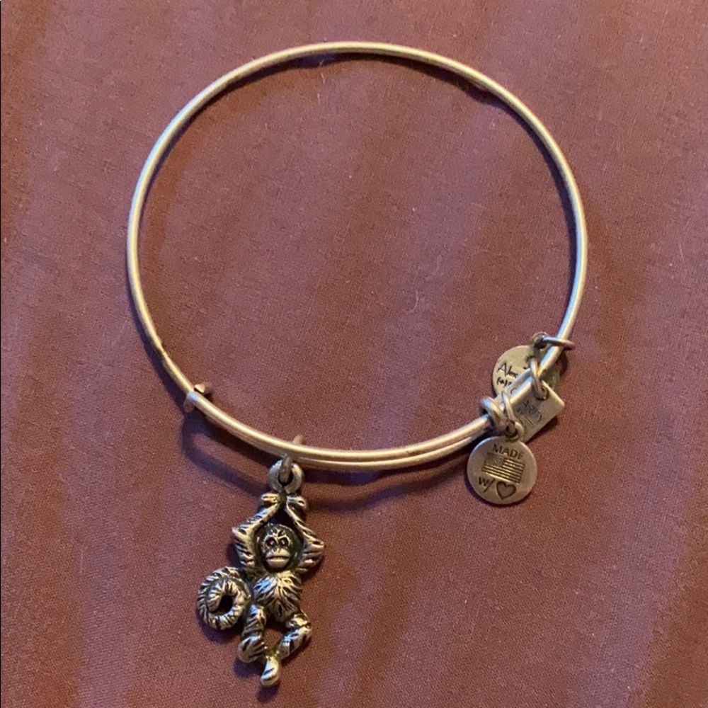Alex and Ani silver bangle